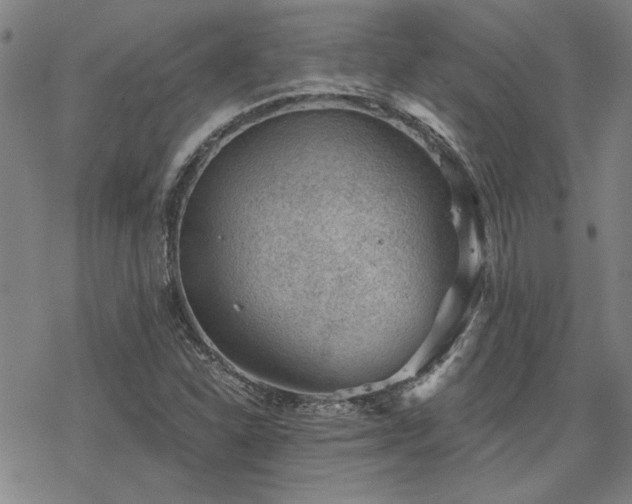 X0000068831310200605051226