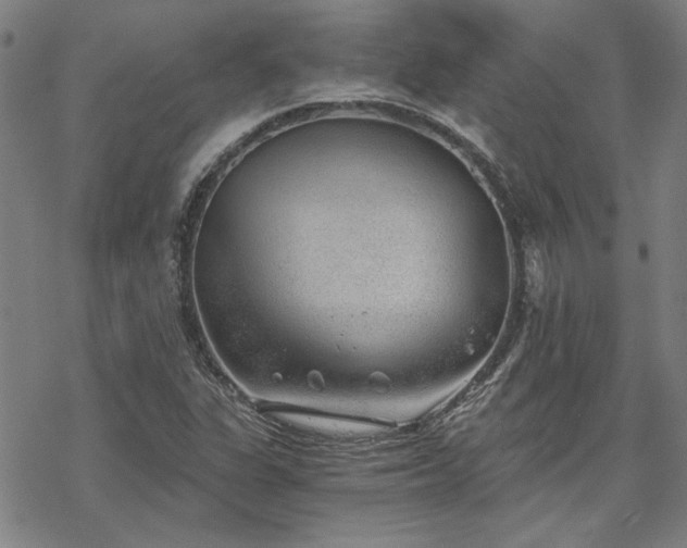 X0000068831311200605051226