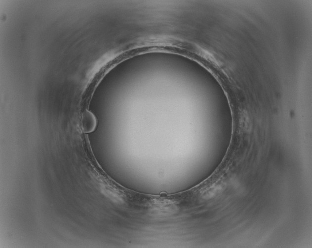 X0000068831312200605051226