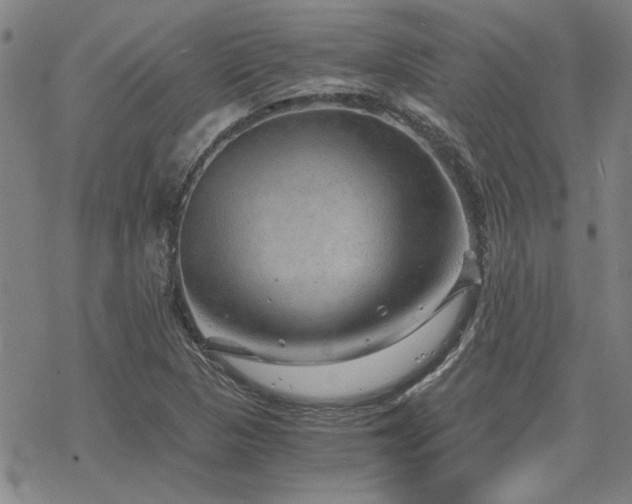 X0000068831313200605051226