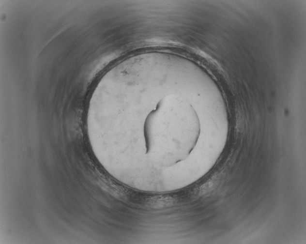 X0000068831314200605051226