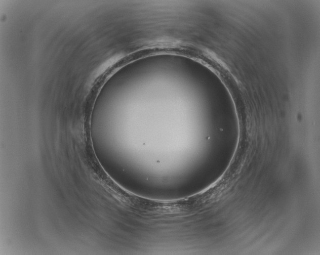 X0000068831315200605051226