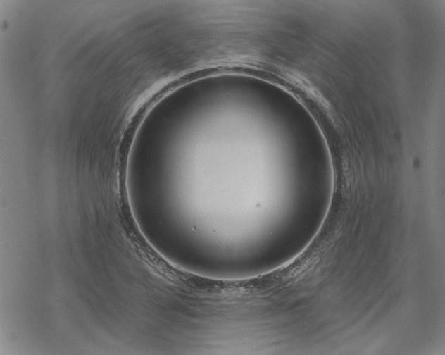 X0000068831316200605051226