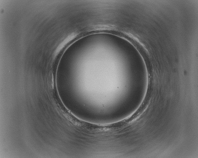 X0000068831317200605051226