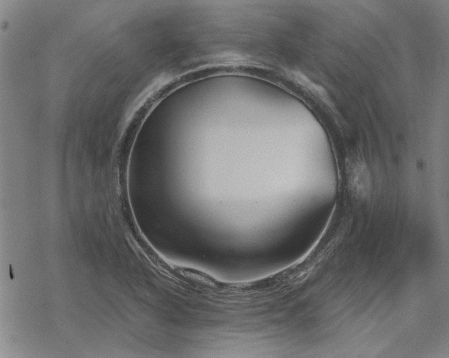 X0000068831318200605051226