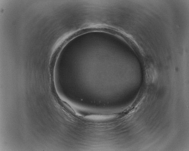 X0000068831319200605051226