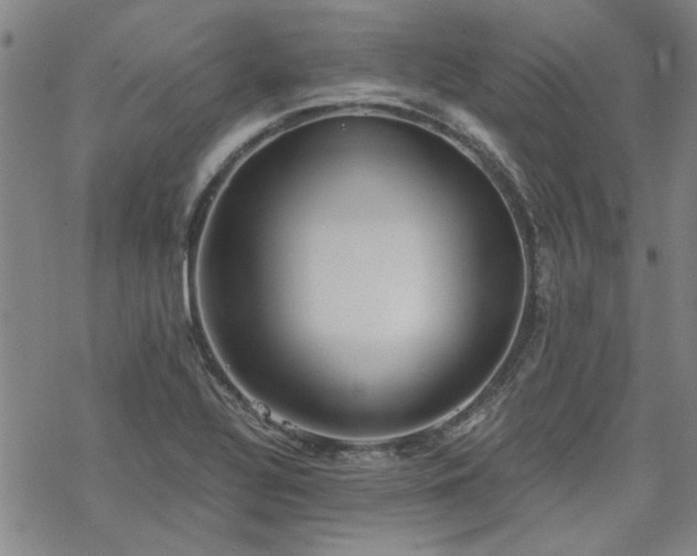 X0000068831320200605051226