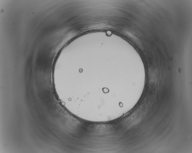 X0000068831322200605051226