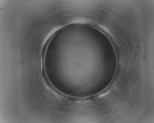 X0000068831323200605051226