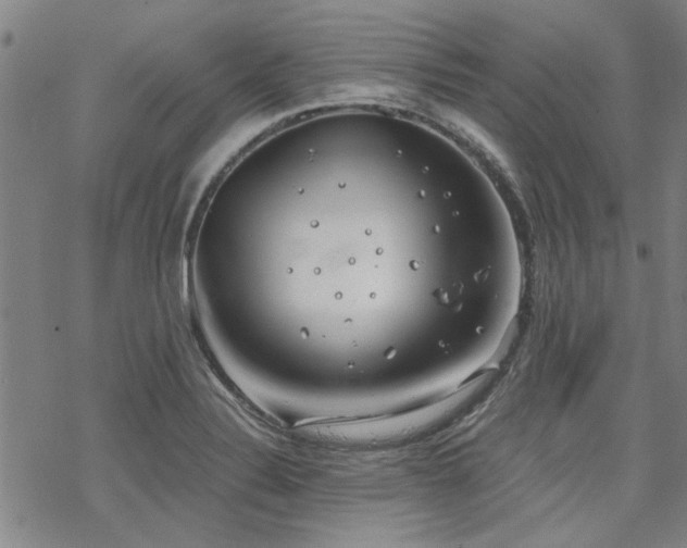 X0000068831324200605051226