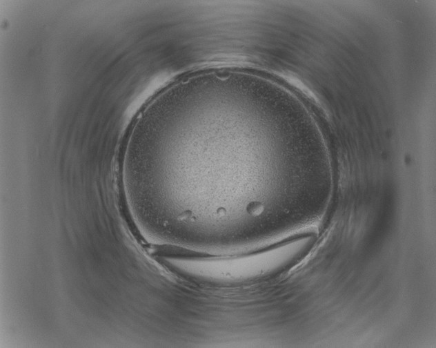 X0000068831325200605051226