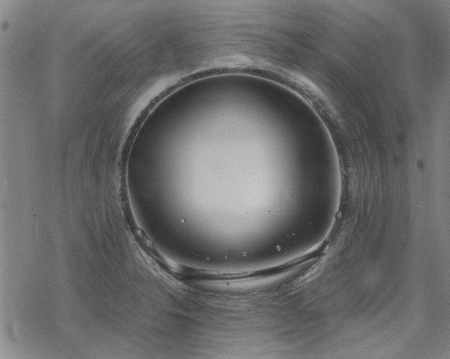 X0000068831326200605051226