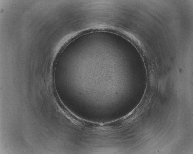 X0000068831327200605051226