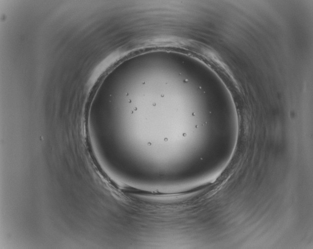 X0000068831328200605051226