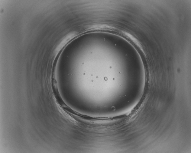 X0000068831330200605051226