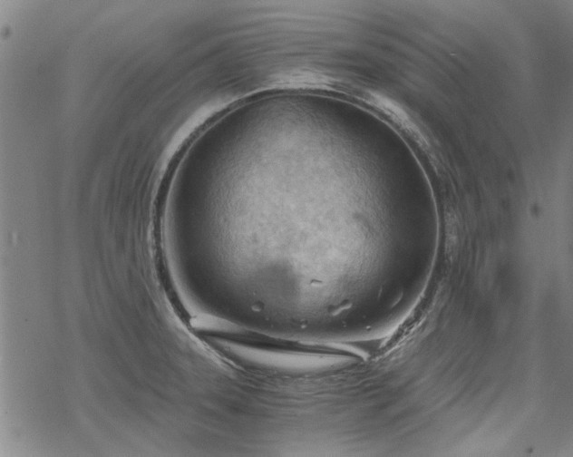 X0000068831331200605051226