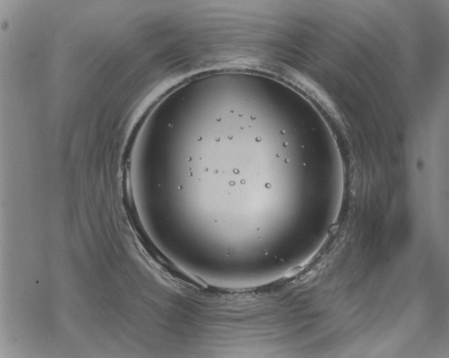 X0000068831332200605051226