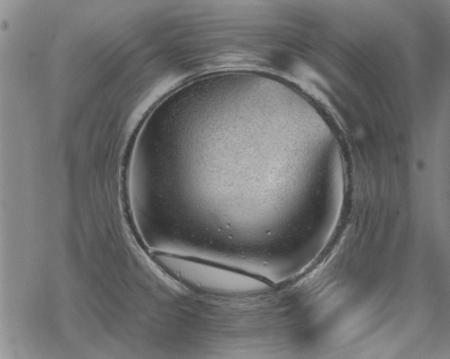 X0000068831333200605051226