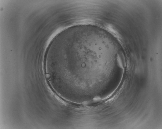 X0000068831334200605051226