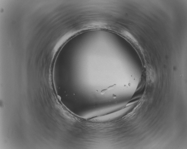 X0000068831336200605051226