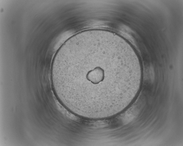 X0000068831338200605051226