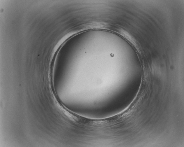 X0000068831339200605051226