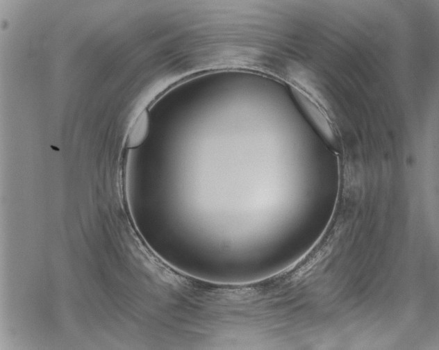 X0000068831340200605051226