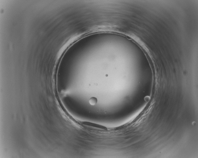 X0000068831341200605051226