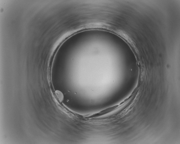 X0000068831342200605051226