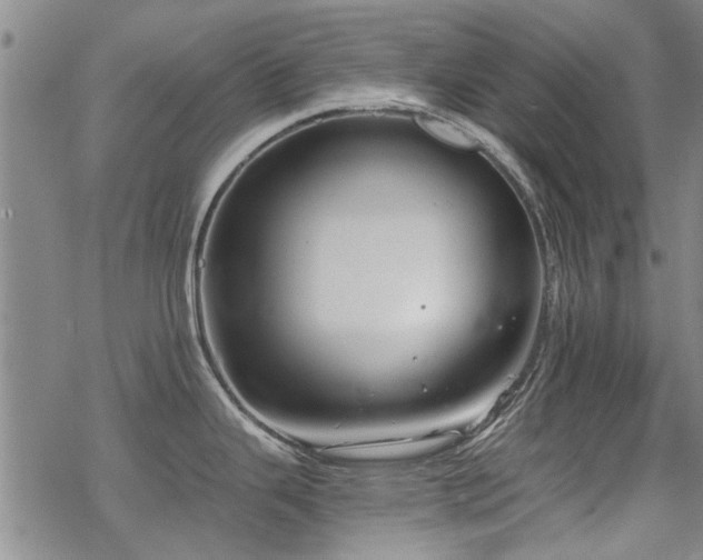 X0000068831343200605051226