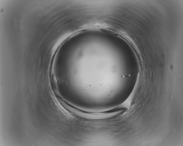 X0000068831344200605051226