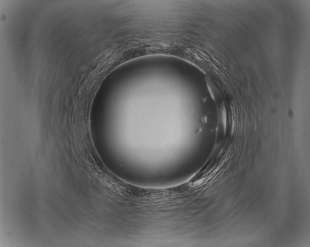 X0000068831345200605051226