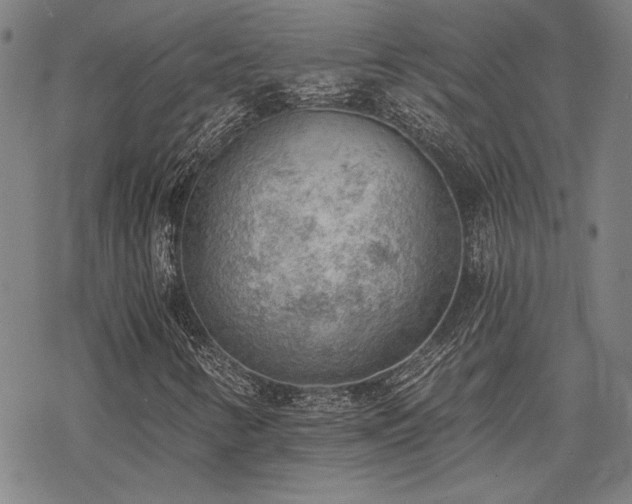 X0000068831346200605051226