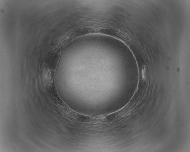 X0000068831347200605051226