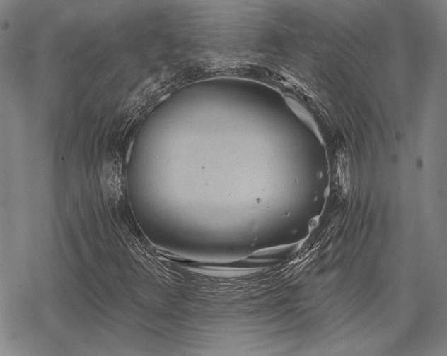 X0000068831348200605051226