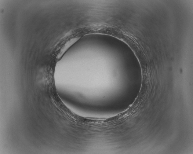 X0000068831349200605051226