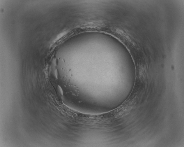 X0000068831350200605051226