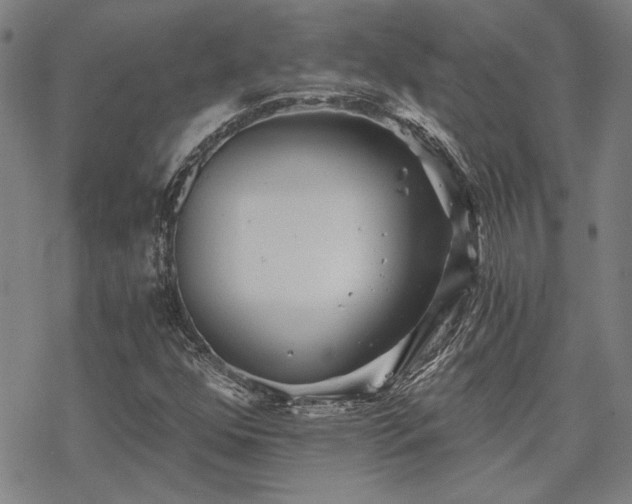 X0000068831352200605051226