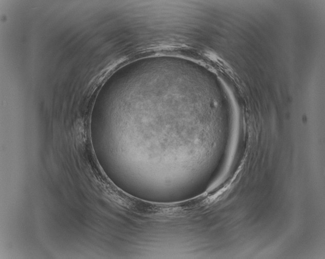 X0000068831353200605051226