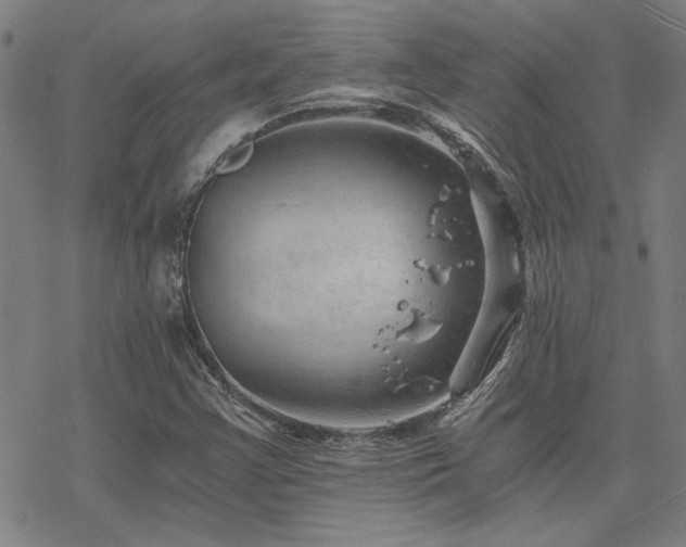 X0000068831355200605051226