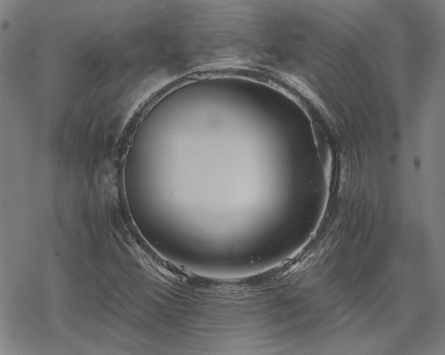 X0000068831356200605051226