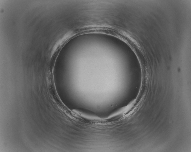 X0000068831357200605051225