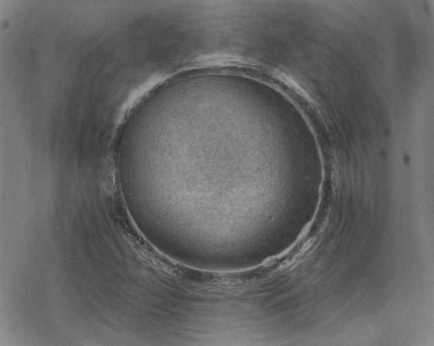 X0000068831358200605051225