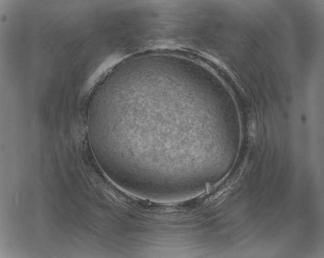 X0000068831359200605051225