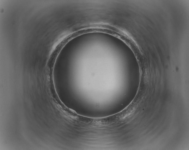 X0000068831360200605051225