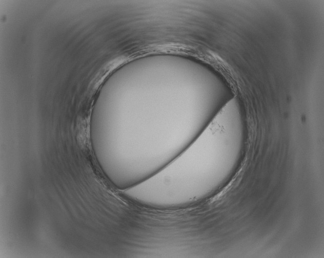 X0000068831361200605051225