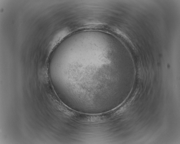 X0000068831362200605051225