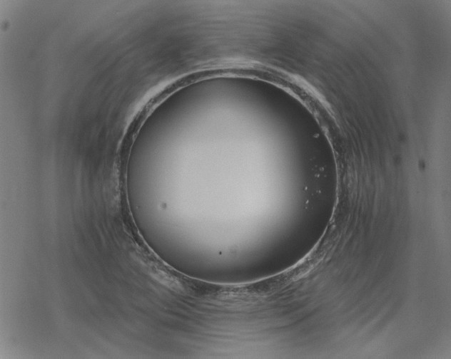 X0000068831364200605051225