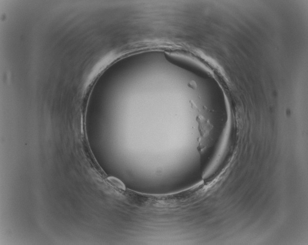 X0000068831365200605051225