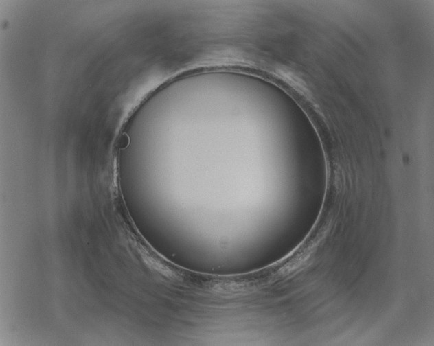 X0000068831366200605051225